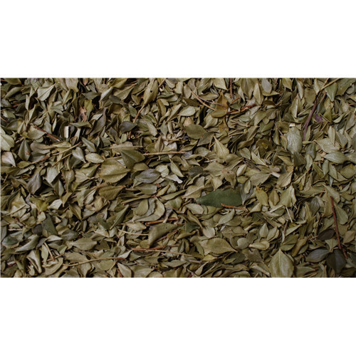 Bucchu - feuille - PÈRE BLAIZE