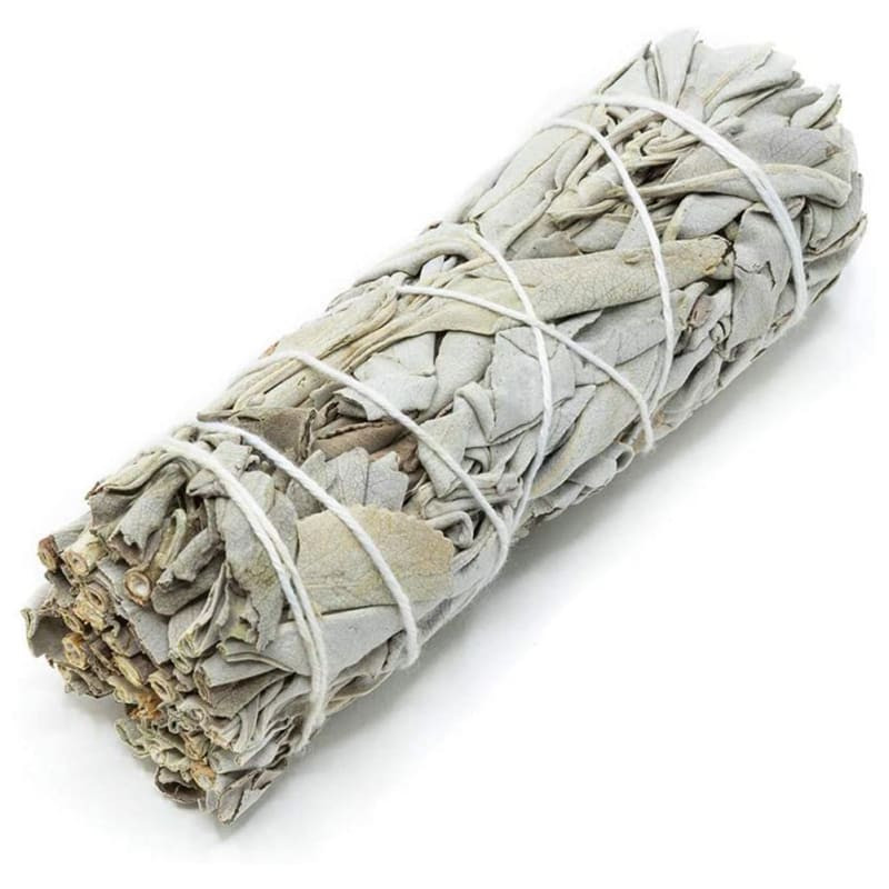 Sauge BIO Provence - bouquet - PÈRE BLAIZE