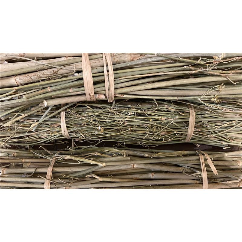 Fenouil BIO Provence - bouquet - PÈRE BLAIZE