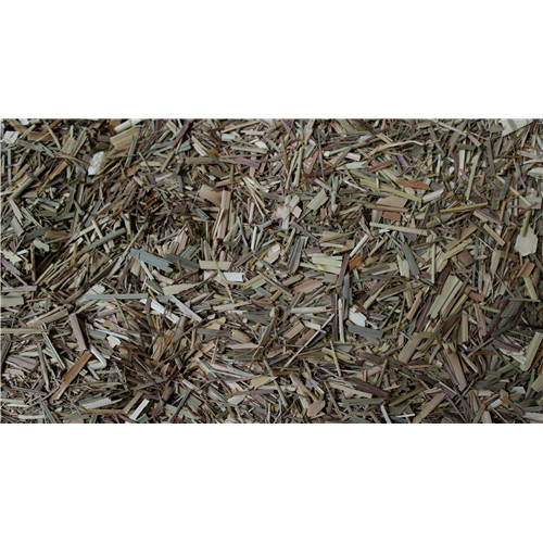 Citronnelle - feuille - PÈRE BLAIZE