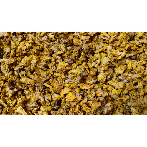 Bouillon Blanc - fleur - PÈRE BLAIZE