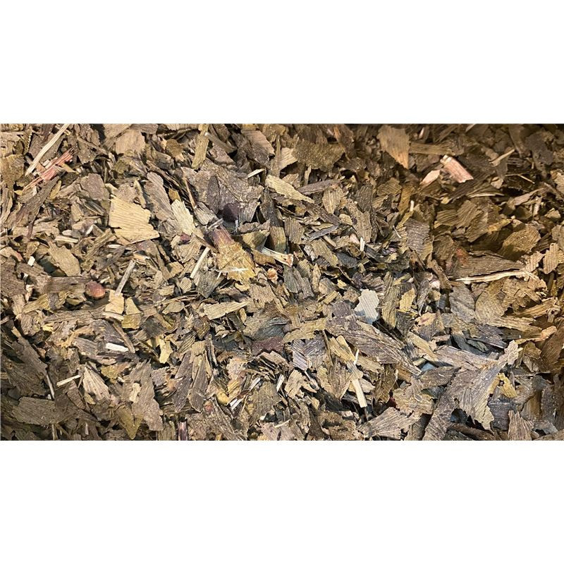 Ginkgo biloba - feuille - PÈRE BLAIZE
