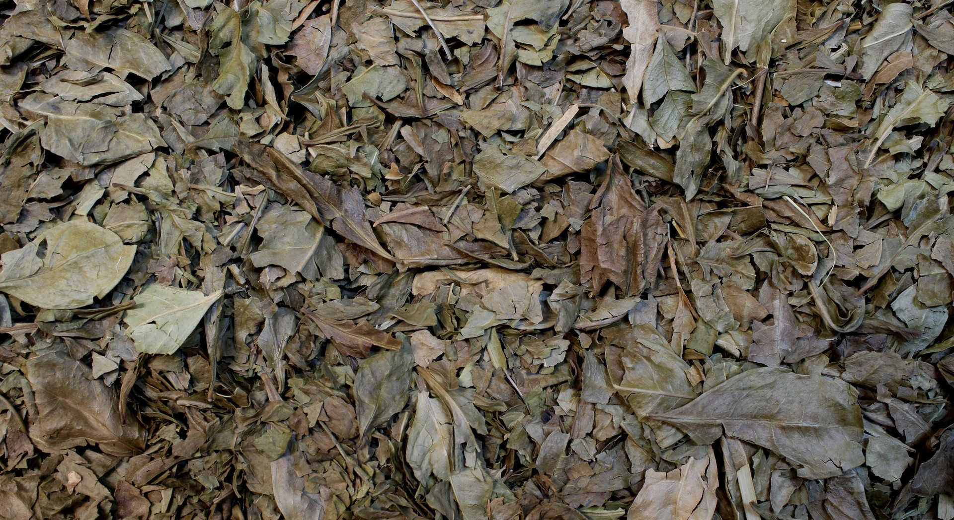 Henné naturel - feuilles - PÈRE BLAIZE