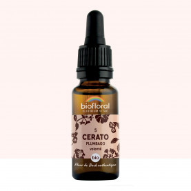 FDB 05 Cerato, Plumbago - Compte Gouttes BIO Demeter - 20 ml - BIOFLORAL