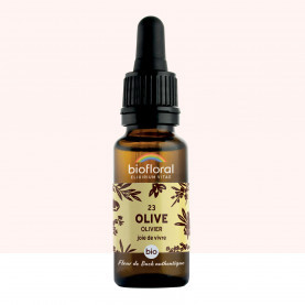 FDB 23 Olive, Olivier - Compte Gouttes BIO Demeter - 20 ml - BIOFLORAL