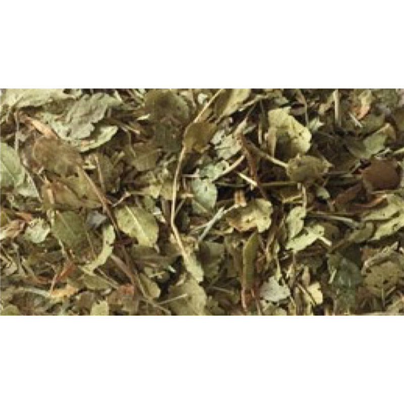Myrtille - feuille - PÈRE BLAIZE