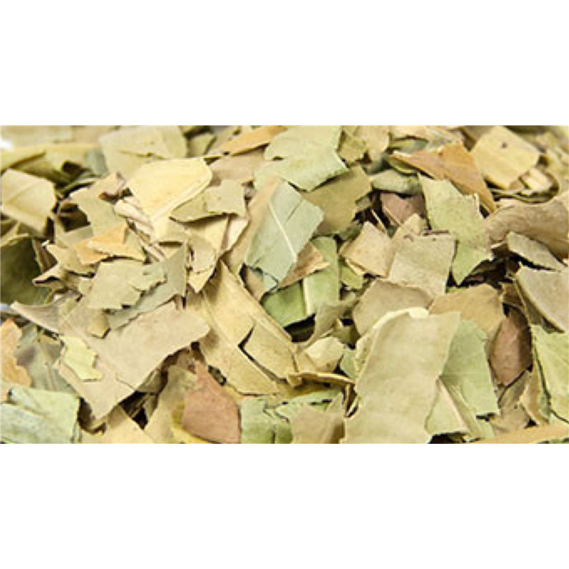 Oranger bigaradier - feuille entière - PÈRE BLAIZE