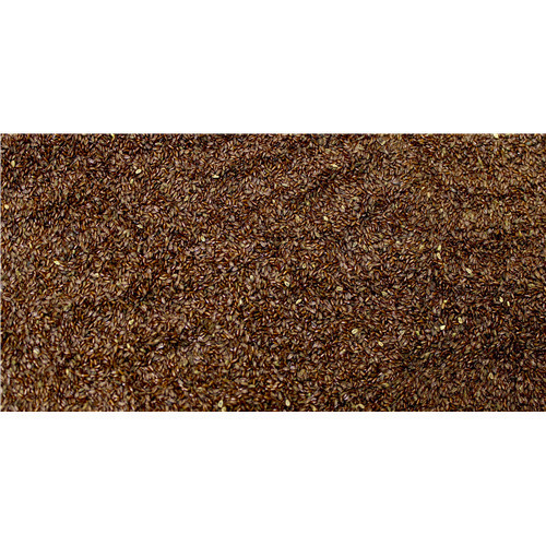 Psyllium - semence - PÈRE BLAIZE