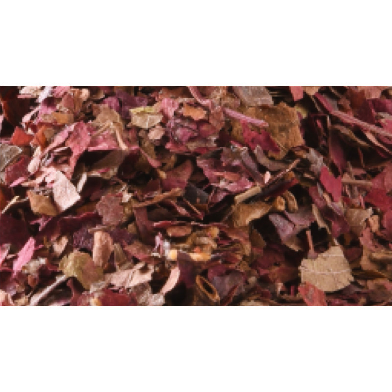 Vigne rouge - feuille coupée - PÈRE BLAIZE