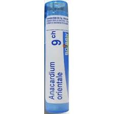 Anacardium orientale - 9CH - Tube de 4 g - BOIRON