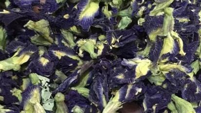 Pois bleu papillon - fleur - 50g - PÈRE BLAIZE