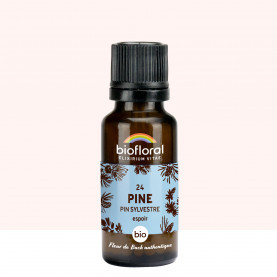 FDB 24 Pine, Pin Sylvestre - Granules BIO - 19,5 g - BIOFLORAL 