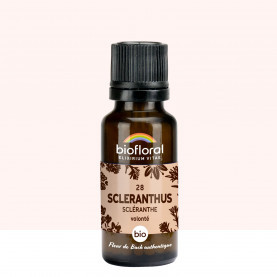 FDB 28 Scleranthus, Scleranthe - Granules BIO - 19,5 g - BIOFLORAL 
