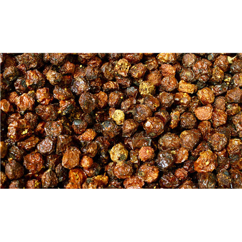 Alkékenge/Physalis - baie - PÈRE BLAIZE