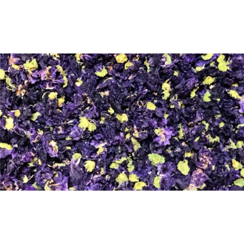 Mauve bleue - fleur - PÈRE BLAIZE