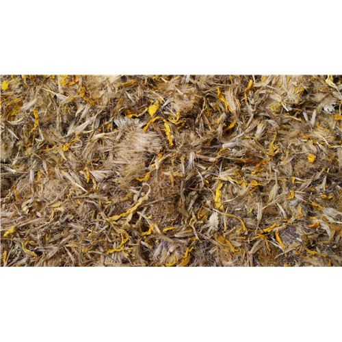 Arnica - fleur (usage externe exclusivement) - PÈRE BLAIZE