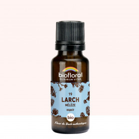 FDB 19 Larch, Meleze - Granules BIO - 19,5 g - BIOFLORAL 