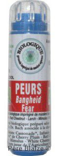 Peurs - Fleur de Bach BIO granules - 130 granules - COMPLEXE BACH - KOSMEO FLEURS DE BACH