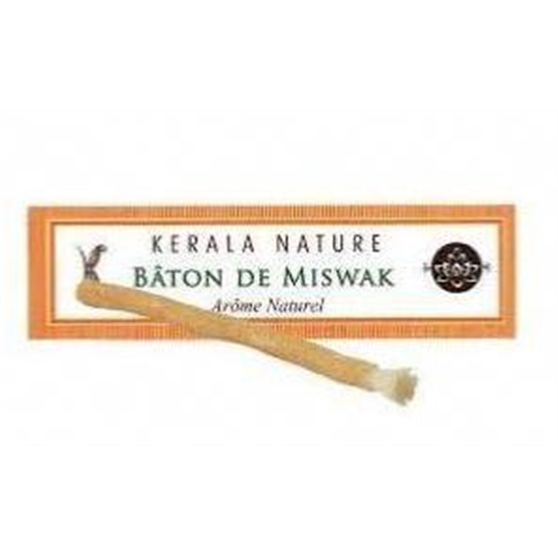 Bâton de Miswak - Nature - KERALA NATURE