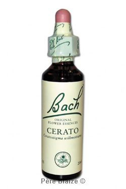 Cerato - 20 ml - FLEURS DE BACH ORIGINAL - NELSONS