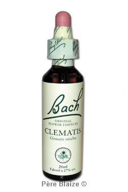 Clematis - 20 ml - FLEURS DE BACH ORIGINAL - NELSONS
