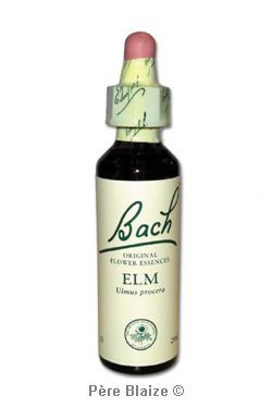 Elm - 20 ml - FLEURS DE BACH ORIGINAL - NELSONS