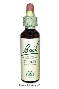 Gorse - 20 ml - FLEURS DE BACH ORIGINAL - NELSONS